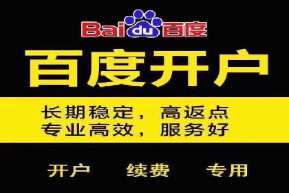 百度竞价排名：从失败到成功的转型案例
